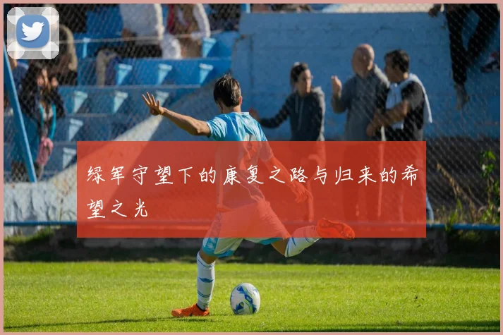 绿军守望下的康复之路与归来的希望之光