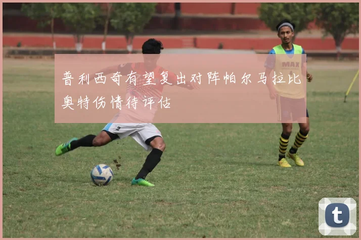 普利西奇有望复出对阵帕尔马拉比奥特伤情待评估