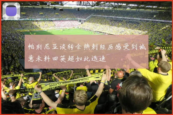 帕利尼亚谈转会热刺经历感受到诚意未料回英超如此迅速