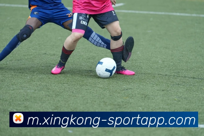 星空足球平台生态图